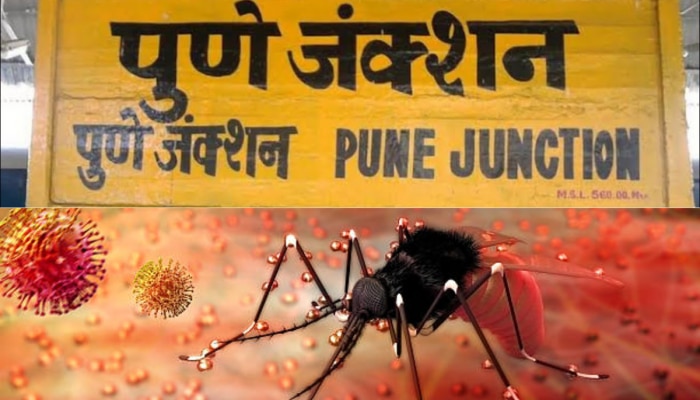 Zika Virus चा पुण्यात कहर, रुग्णसंख्येत वाढ; काय आहेत लक्षणं?