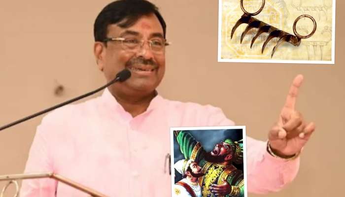 वाघनखं नेमकी कोणाची? सुधीर मुनगंटीवारांनी केलं स्पष्ट, म्हणाले 'कोणीही महाराजांनी ही वाघनखं....'