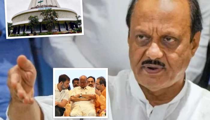 विधानपरिषद निकालामागे अदृश्य हात? अजित पवारांनी केला खुलासा, म्हणाले 'आम्हाला ज्यांनी...'