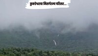 जुन्नरचा कुकडेश्वर परिसर निसर्ग सौंदर्याने बहरला; मन प्रसन्न करणारे विलोभनीय दृष्य 
