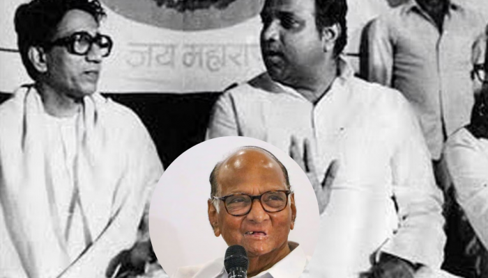 पवार-ठाकरेंचं फसलेलं स्टार्टअप! 'पुन्हा त्या नादाला लागायच नाही हे ठरवलं', शरद पवारांनी सांगितला किस्सा
