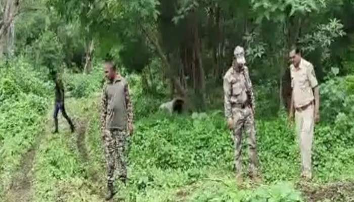 सगळीकडे कर्फ्यू, भितीने शाळांना सुट्टी आणि शोध घेण्यासाठी 100 जणांचे पथक तैनात; संभाजीनगरमध्ये नेमकी दहशत कुणाची? 