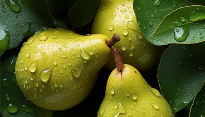 eating 1 pear daily will give you amazing benefits