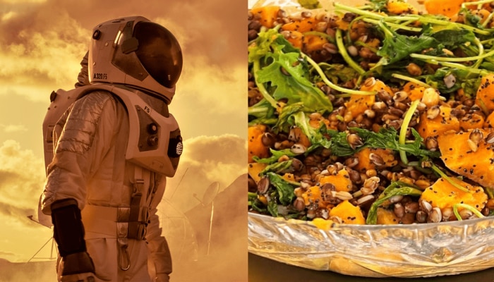 Space Food: अंतराळात एस्ट्रोनॉट्सना किती वेळा लागते भूक? कसं बनवतात जेवण?