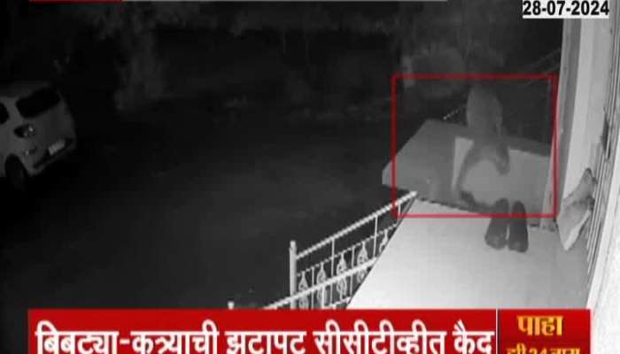 CCTV of fight between Leopard and Dog in Nashik