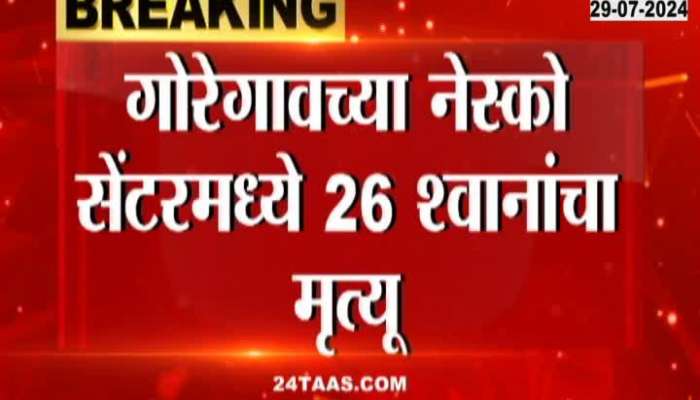 Mumbai Goregaon Twenty Six Dogs Passed Away From Hunger