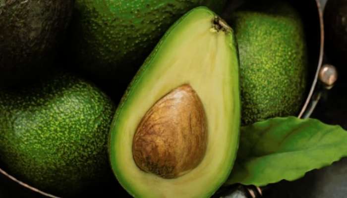 How to Grow Avocados in Your Backyard and balcony 