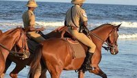मुंबई पोलीस आता घोड्यावर गस्त घालणार, अश्वदलासाठी 36 कोटी मंजूर! नेमका काय उपयोग