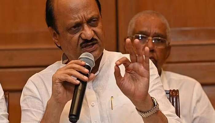 'कांद्यामुळे 3 सीट गेल्या'; लोकसभा निवडणुकीतील पराभवाबाबत अजित पवार यांची विचित्र कबुली