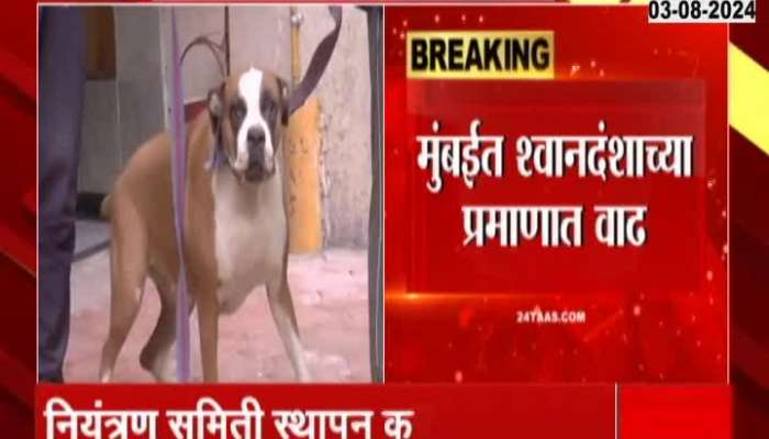 Mumbai Highcourt Order Mahapalika FTo For  Animal Welfare Committee For Rising Dogs Problem