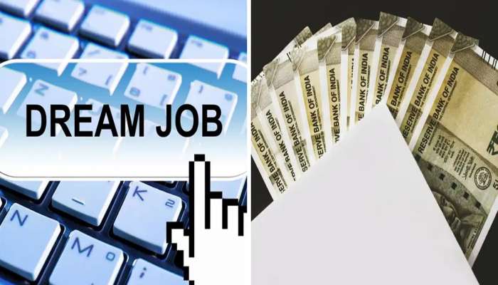 Dream Job : मागाल तेवढा पगार देतेय 'ही' कंपनी; एक रुपयाही कमी नाही... CEO कोण माहितीये?  
