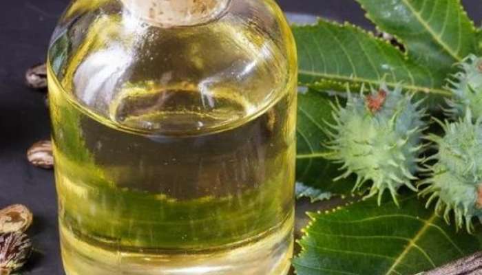 Health Benefits of Castor Oil Home made remedies 