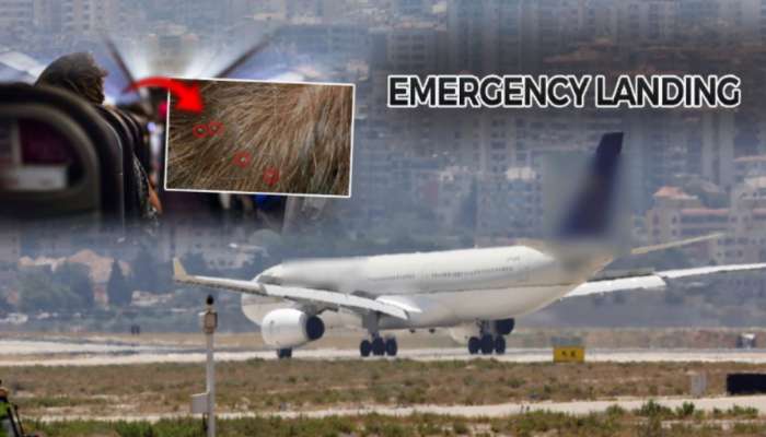 प्रवाशाच्या डोक्यात उवा दिसल्याने विमानाचं Emergency Landing; त्यानंतर तब्बल 12 तासांनी...