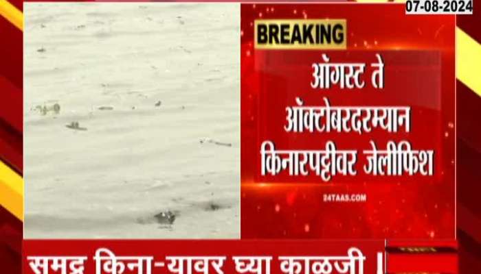 Mumbai Alert from Jelly Fish and Stingray Fish Near Costal Edge 