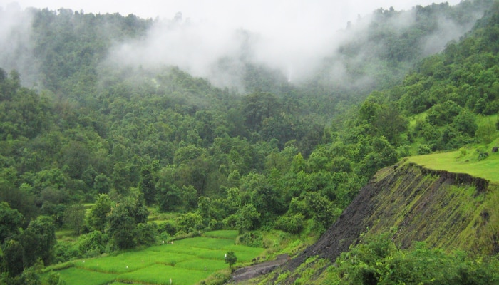 Maharashtra Weather News : आठवड्याच्या शेवटी राज्यातील कोणत्या भागांना पावसाचा तडाखा, कुठे विश्रांती? हवामान विभागाचं उत्तर पाहा... 