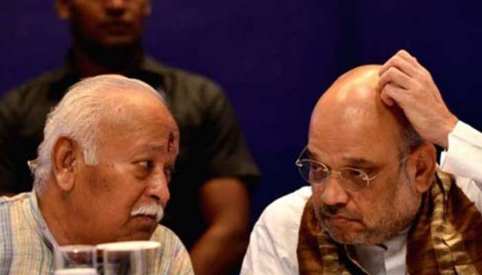 BJP ला मिळणार पहिली महिला राष्ट्रीय अध्यक्ष? पक्षाने RSS ला सांगितलं, 'तुमच्याशी...'