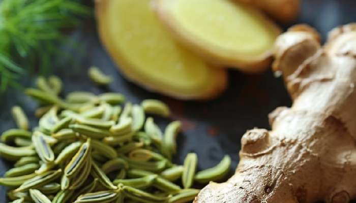 health benefits of eating fennel and ginger together read in marathi