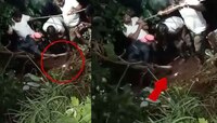 Pune: तरुण विजेच्या खांबावरुन खाली कोसळला, मित्रांनी त्याला तिथेच पुरला; 20 दिवसांनी