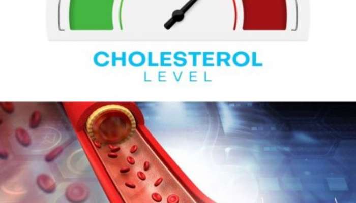 these 5 foods can increase bad cholestrol very fast