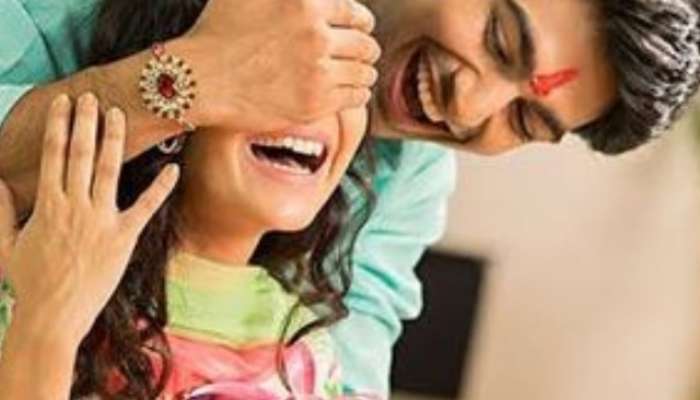 Rakshabandhan 2024,Unique gifts for sisters on Rakshabandhan, best gift for sister on raksha bandhan under 100,raksha bandhan gift ideas for sister,top rakhi gifts for sister under 500, best rakhi gift for sister, 