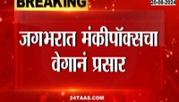 Monkey Pox | मंकीपॉक्सचा अलर्ट, सर्व विमानतळांवर प्रवाशांची तपासणी 