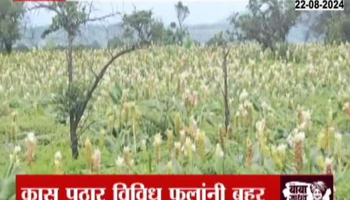 Kas plateau blossomed with various flowers, the whole plateau will bloom in September