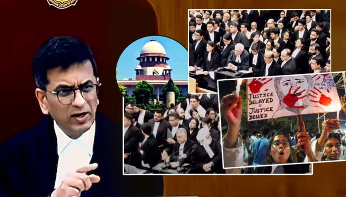 Kolkata Rape Case: &#039;150 मिलीग्रॅम वीर्य&#039; असा उल्लेख ऐकताच CJI चंद्रचूड संतापून म्हणाले, &#039;पीडितेच्या..&#039;