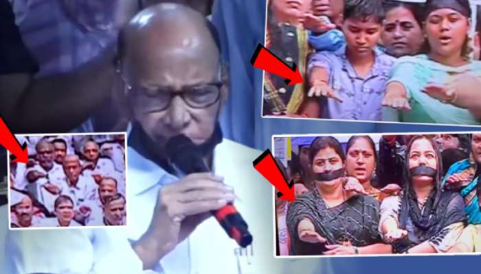 'मी मुलगा आणि मुलगी असा..'; शरद पवारांनी कार्यकर्त्यांना पुण्यात नेमकी कसली शपथ दिली?