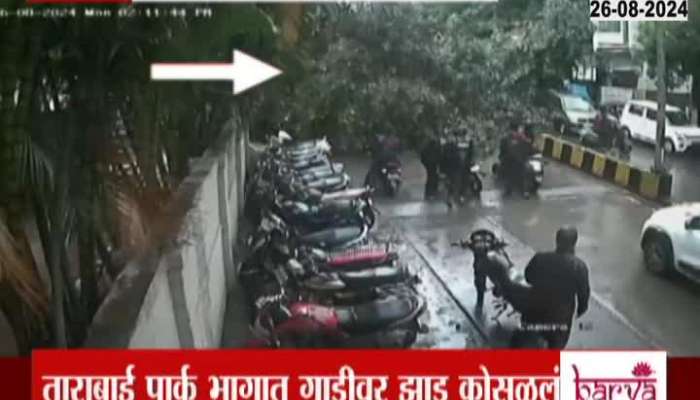 Tree collapsed on car in Kolhapur