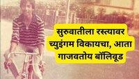 पहिलाच सिनेमा फ्लॉप, दुसऱ्या चित्रपटाला 4 राष्ट्रीय पुरस्कार, 'या' मराठमोळ्या दिग्दर