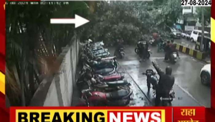 The incident of a tree falling on a car in Kolhapur was caught on CCTV