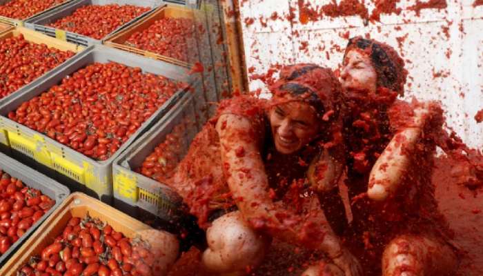 La Tomatina 2024: सारं शहर टोमॅटोने आबादुबी खेळतं तेव्हा...; जाणून घ्या रंजक गोष्टी 