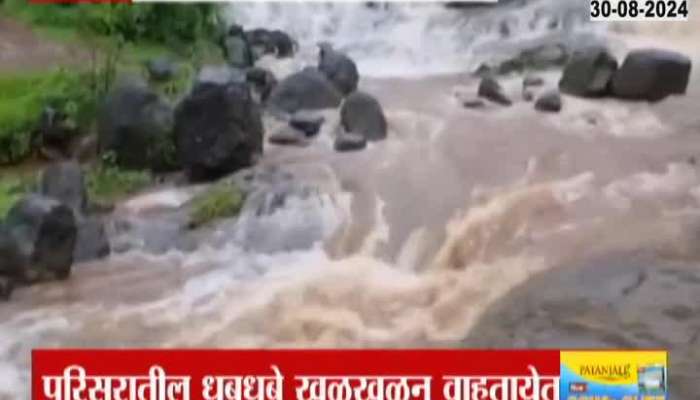 Nature blossomed in the Amboli Daryaghat area, the waterfalls of Junnar began to overflow