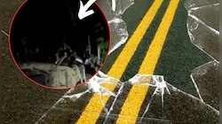 Hit and Run नं मुंबई हादरली; 24 वर्षीय तरुणाचा मृत्यू