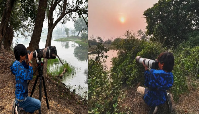 9 वर्षीय भारतीय मुलीने काढलेला फोटो Wildlife Photographer स्पर्धेत दुसऱ्या स्थानी! तिच्या कॅमेरातील हे फोटो एकदा पाहाच