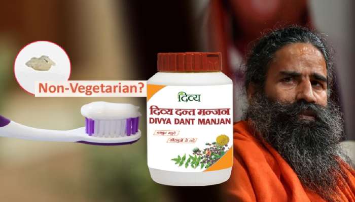 रामदेव बाबांच्या अडचणी वाढल्या! 'पतंजली'च्या Veg 'दिव्य दंतमंजन'मध्ये माशांचे घटक; कोर्टाने..