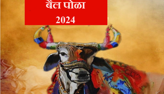 Pola 2024 Date : पोळा सण कधी? कशी करावी सर्जा राजाची पूजा, तर 'या' पदार्थांशिवाय बैलपोळा अन् श्रावणी अमावस्या अपुरीच
