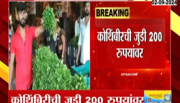 Vegetable prices hiked in Navi Mumbai APMC market, coriander at Rs. 200