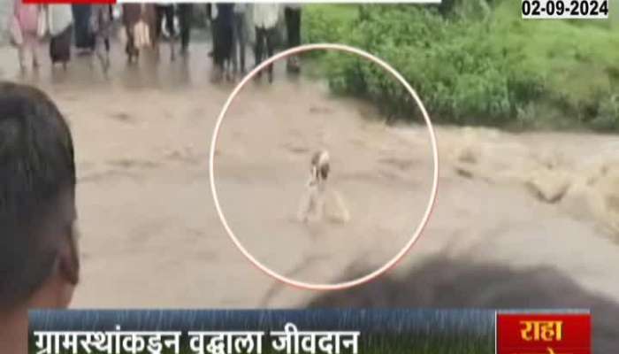 Washim Old Age Man Washout In Crossing Bridge Submerged In Flood Later Rescued