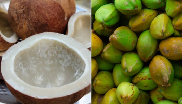 World Coconut Day : सुका की ओला, कोणता नारळ आरोग्यासाठी जास्त चांगला? 