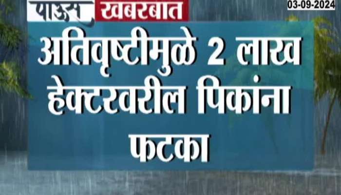  In Nanded district, heavy rain caused huge damage to agriculture, crops on 2 lakh hectares were affected due to heavy rains