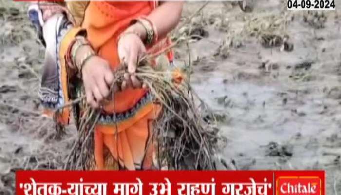 Heavy rains in Aurad Shahjani area, damage to agriculture along Manjra Terna river