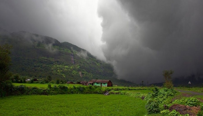 Weather Update :विदर्भ, मराठवाड्याकडून पावसाचा मोर्चा आता कोकणाकडे; गणपती गाजवणार, 20 राज्यांमध्येही मुसळधार 