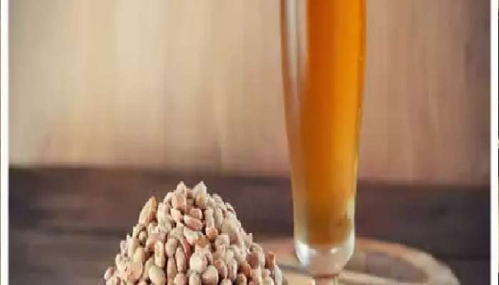 Trending News, alcohol with peanuts, alcohol chakna, best chakna for liquor, good alcohol snacks, best starter with alcohol, alcohol, best chakna with alcohol in india, best chakna with beer, best chakna with vodka, Do peanuts neutralize alcohol, restaurant and bar