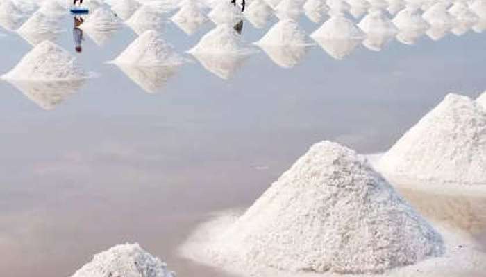 How salt formed in sea GK Marathi News