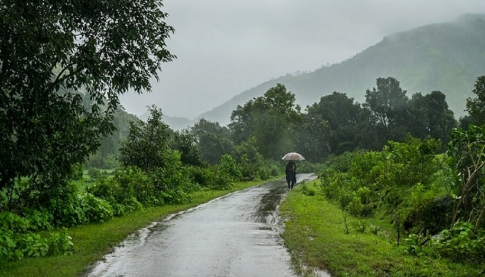 Maharashtra Weather Update : विदर्भात मुसळधार; उर्वरित राज्यातून मात्र पावसाचा काढता पाय? पाहा कुठे निघाला मान्सून 