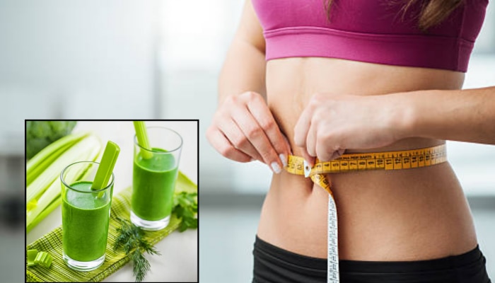 Best Vegetable For Weight Loss : वाढलेल्या वजनाने हैराण झालात? थुलथुलीत चरबीला मेणासारखी वितळवेल &#039;ही&#039; हिरवी भाजी