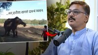 दारुचं व्यसन लागलेल्या हत्तीचा धुमाकूळ! दारु दिली नाही म्हणून...; हा Video पाहाच