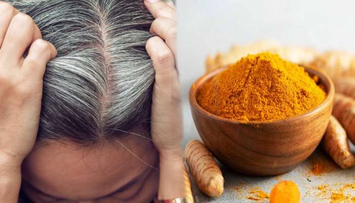 White Hair Remedies: तरुणपणीच केस पांढरी झाली? चिमूटभर हळदीने होतील काळीभोर, वापरा नैसर्गिक उपाय 