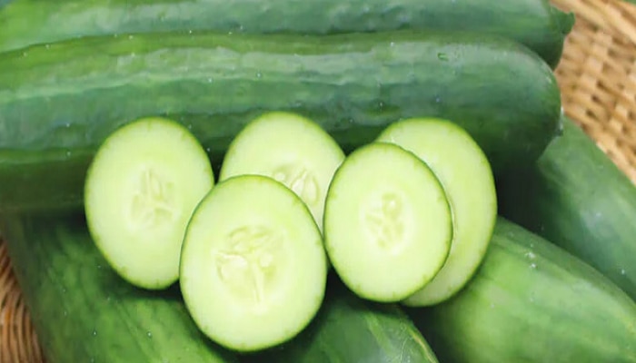 Cucumber, benefits of eating cucumber, when to eat cucumber, right time to eat cucumber, why not eat cucumber at night, side effects of cucumber, Health, Lifestyle,काकडी खाण्याचे फायदे, काकडी खाण्याचे दुष्परिणाम, मराठी बातम्या , बातम्या 